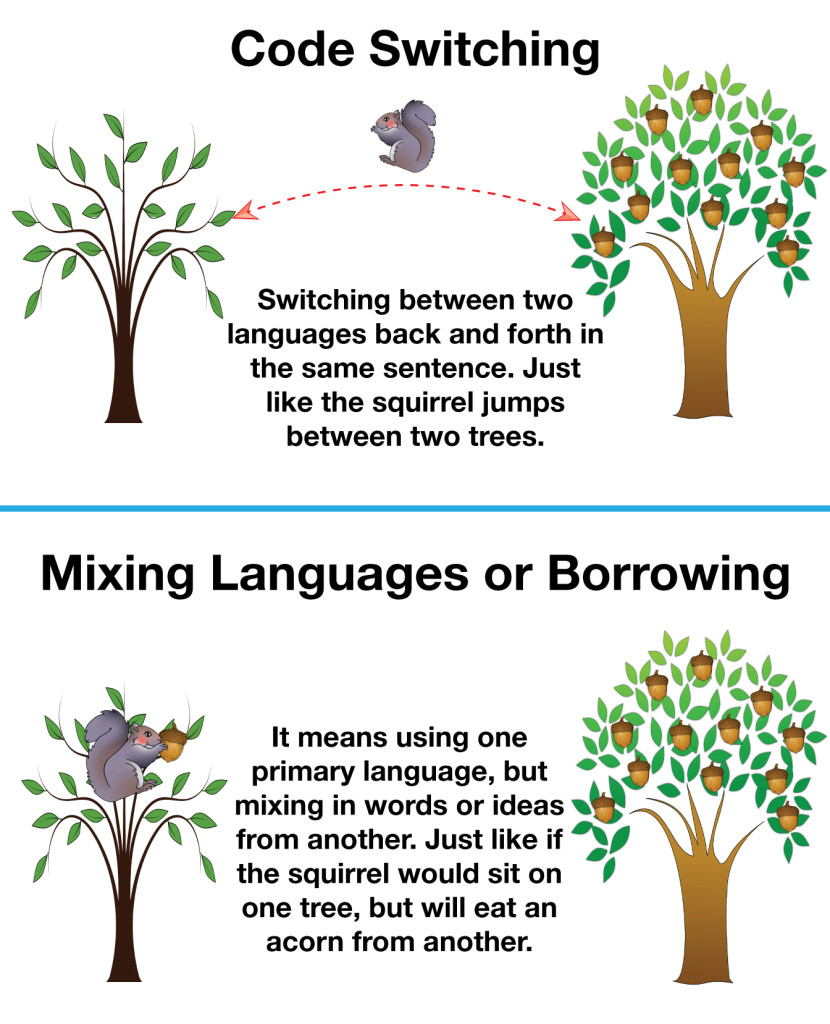 Code-Switching vs Borrowing